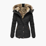 Structured Jacket for Women