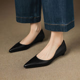 Irvane™ Pointed Toe Wedge Shoes