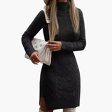Women’s Knit Dress with Turtleneck and Long Sleeves